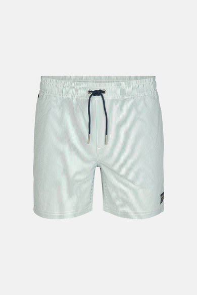 Groene zwemshort van Petrol Industries® met witte strepen en een donkerblauw trekkoord.
