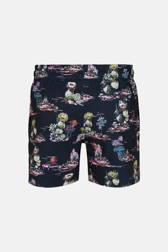 Multicolor zwemshort van Petrol Industries met een dessin van woestijnscènes, cactussen en auto's.
