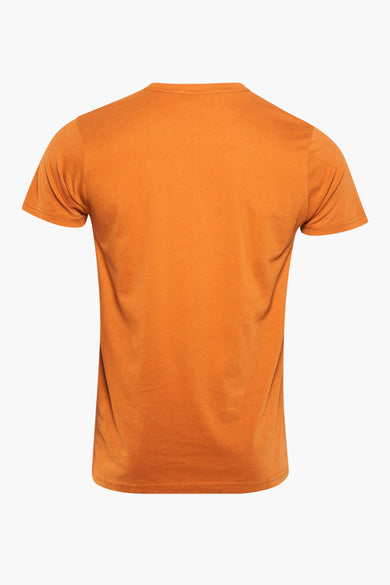 T-shirt à manches courtes Bruine de Petrol Industries®, vue arrière, design simple et lisse, texture naturelle du tissu