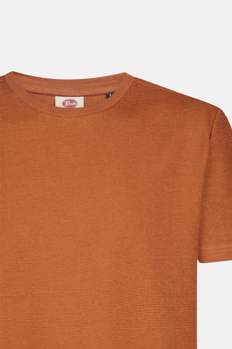 T-shirt (korte mouwen) bruin - Petrol Industries®