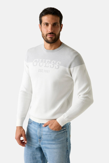 Pull met ronde hals - grijs