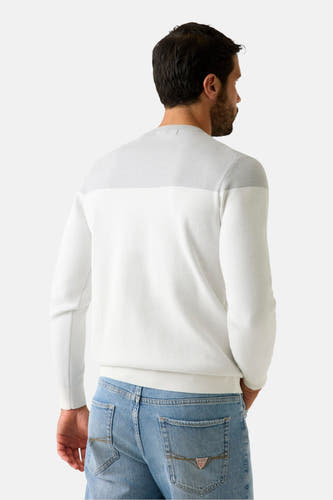 Sweat-shirt gris avec col rond de Guess, dos, porté avec des jeans bleu clair.