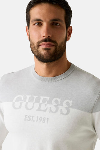 Pull met ronde hals - grijs - Guess®