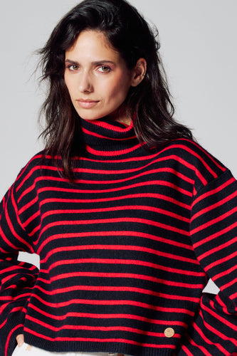 Pull met rolkraag - multicolor - Le Fabuleux Marcel de Bruxelles