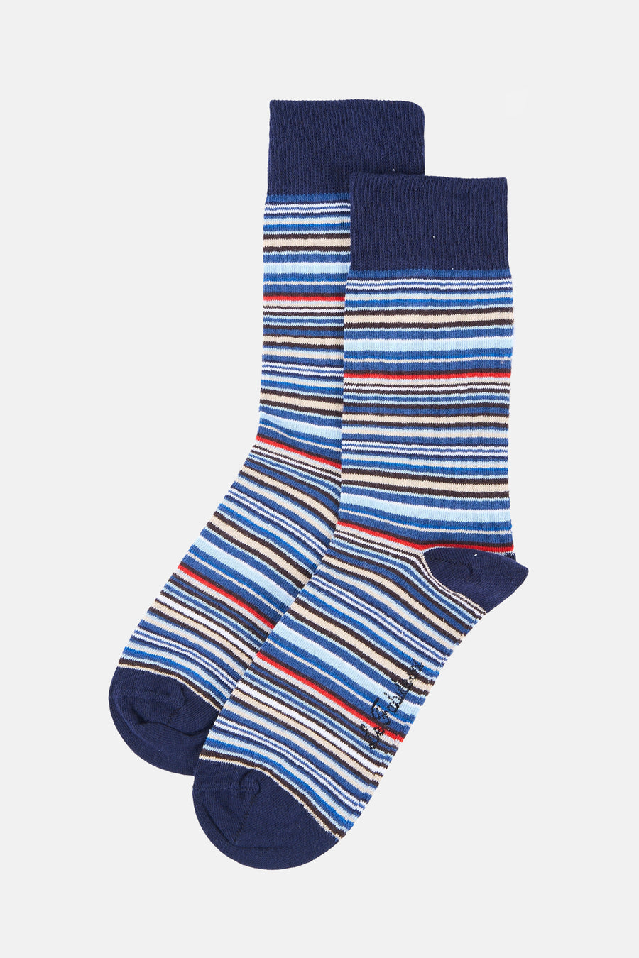 Multicolor gestreepte sokken van Le Fabuleux Marcel de Bruxelles, met donkerblauwe top en teen, fijne horizontale strepen in blauw, crèmekleur, bruin en rood, op witte achtergrond.