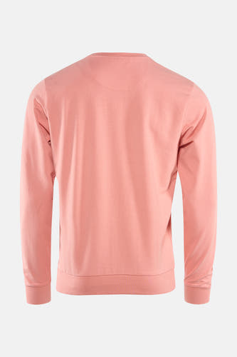 Roze sweater van Petrol Industries®, met lange mouwen en een ronde hals, gezien van de achterkant.
