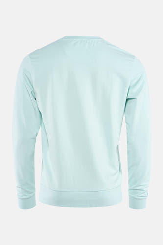 Groene sweater van Petrol Industries®, gezien van achteren, met lange mouwen en een ronde hals.

