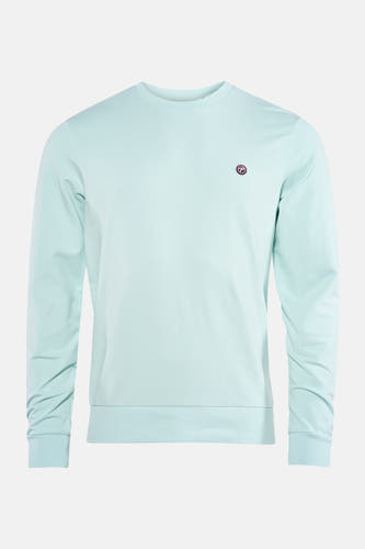 Groene sweater van Petrol Industries® met lange mouwen en een kleine ronde merkembleem.
