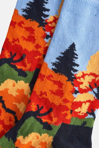 Blauwe sokken van Happy Socks met herfstbosmotief in oranje, rood, groen en donkerblauw.
