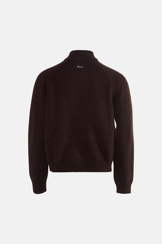 Pull met rolkraag - bruin