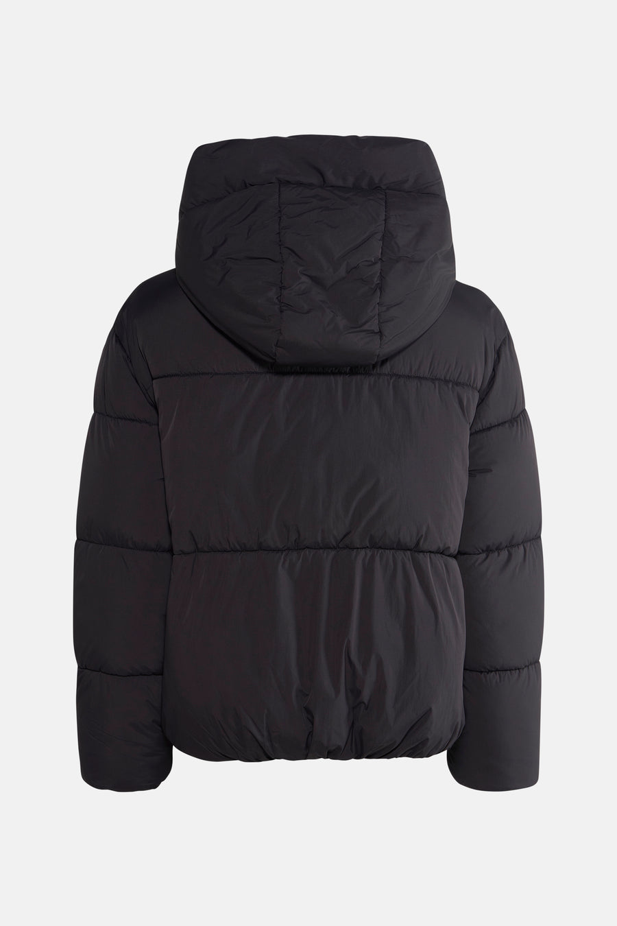 Veste - noir - HAILYS