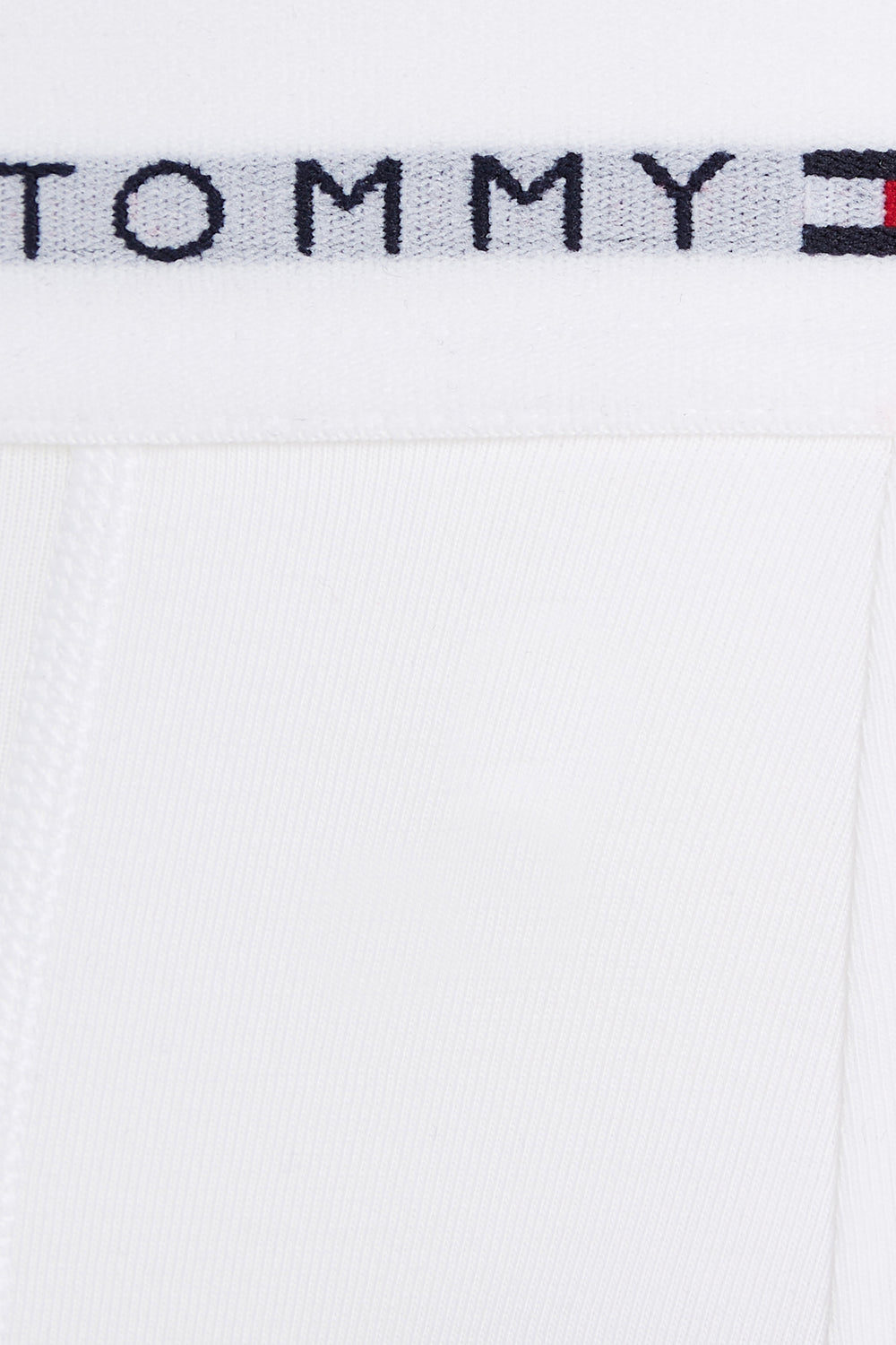 Boxer Multicolore - TOMMY JEANS