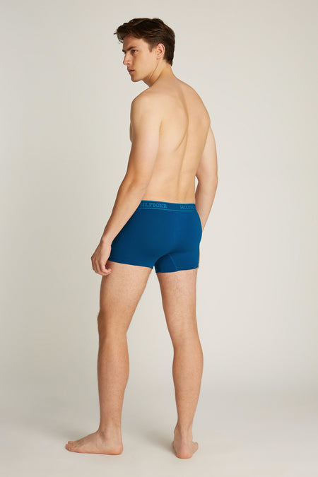 Boxer Multicolore - TOMMY JEANS