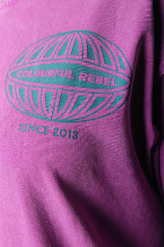 Roze T-shirt met lange mouwen van COLOURFUL REBEL, met grafische globe print en "Since 2013" tekst.