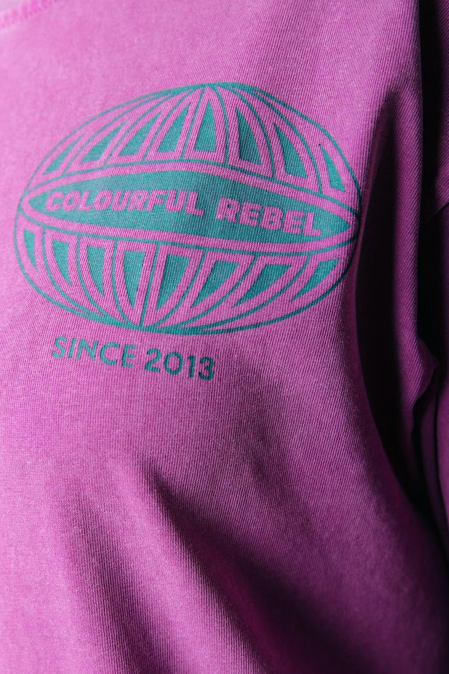 Roze T-shirt met lange mouwen van COLOURFUL REBEL, met grafische globe print en "Since 2013" tekst.