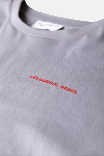 Grijs T-shirt met korte mouwen van COLOURFUL REBEL, met rode tekstprint op de borst en een eenvoudige ronde hals.