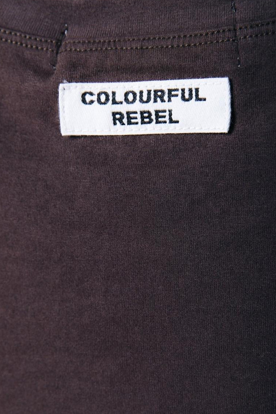 Bruin T-shirt met lange mouwen van COLOURFUL REBEL, met een effen kleur en een label detail bovenaan.